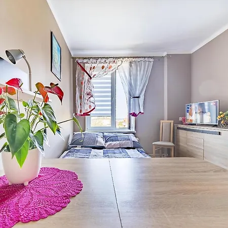Apartament Apartament Tosia *
